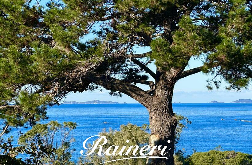 Agence Raineri - VERGHIA - MARE E SOLE - Exclusivité