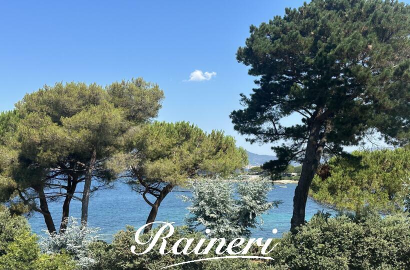 Agence Raineri - T2 - PORTICCIO / Exclusivité
