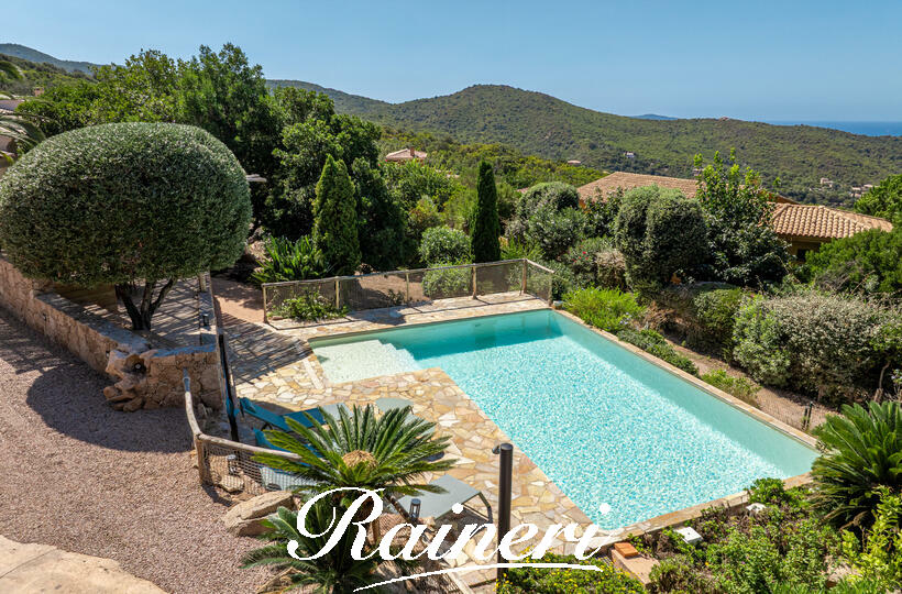 Agence Raineri - POZZACCIO  8 Personnes