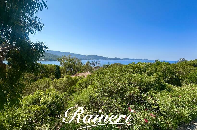 Agence Raineri - PIETROSELLA / RUPPIONE