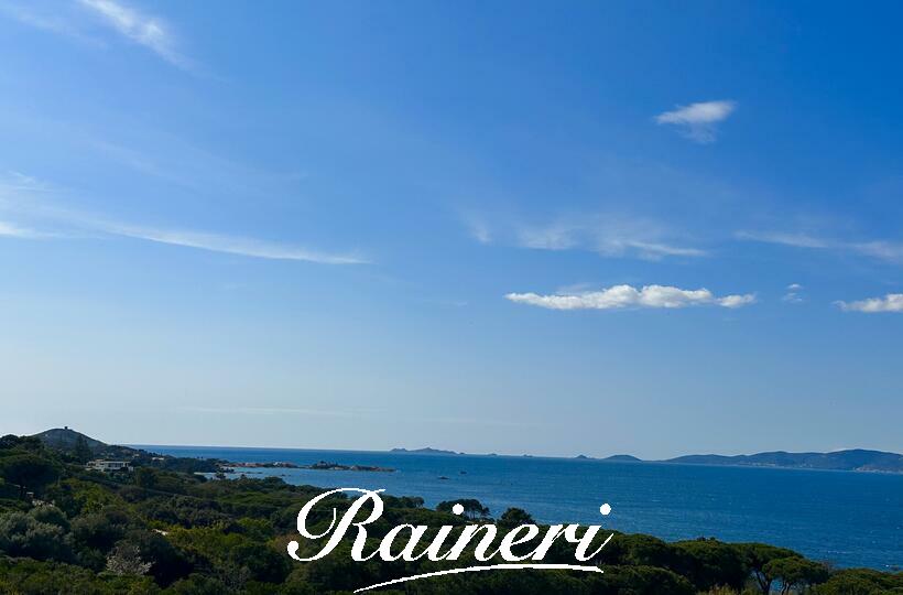 Agence Raineri - T2 - PIETROSELLA