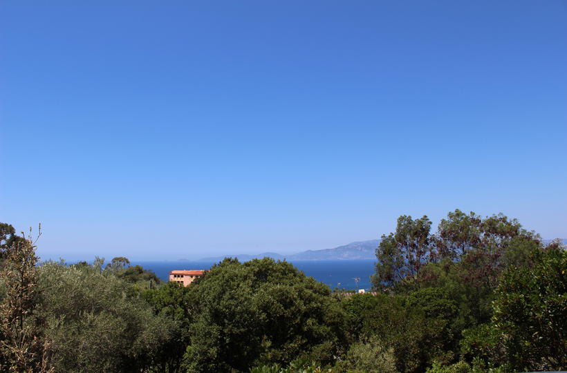 Agence Raineri -