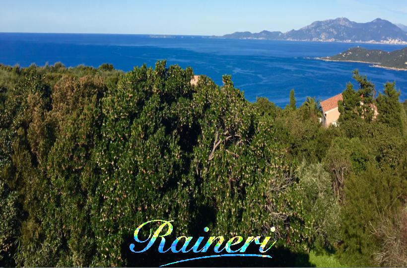 Agence Raineri - 