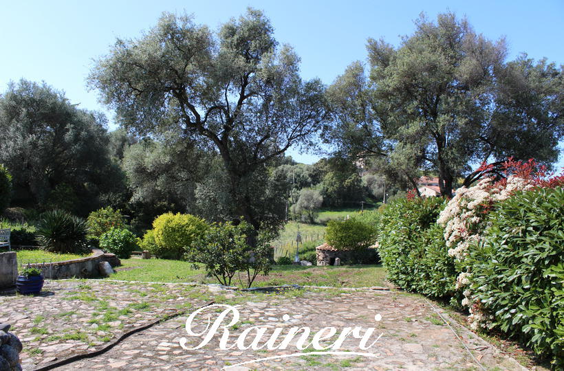 Agence Raineri - 