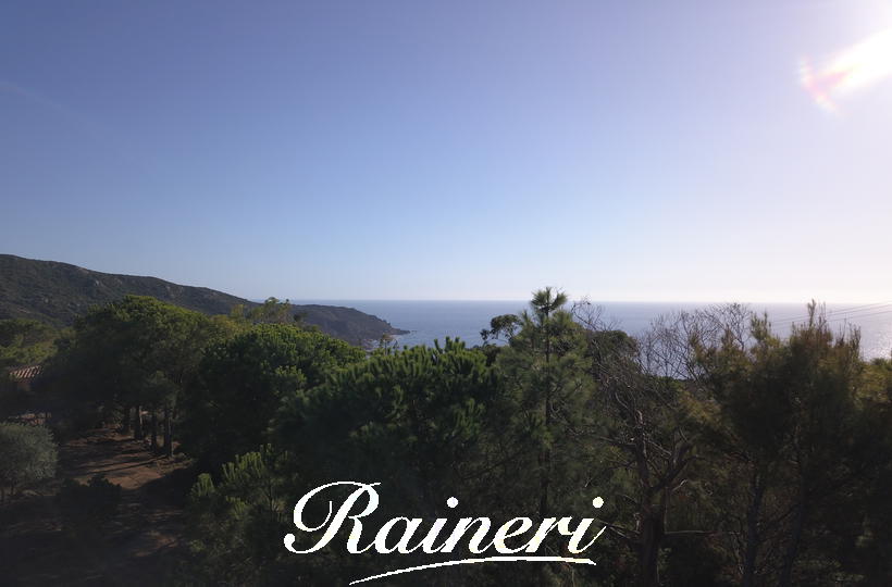 Agence Raineri - 