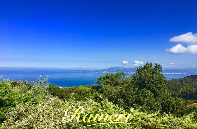 Agence Raineri -