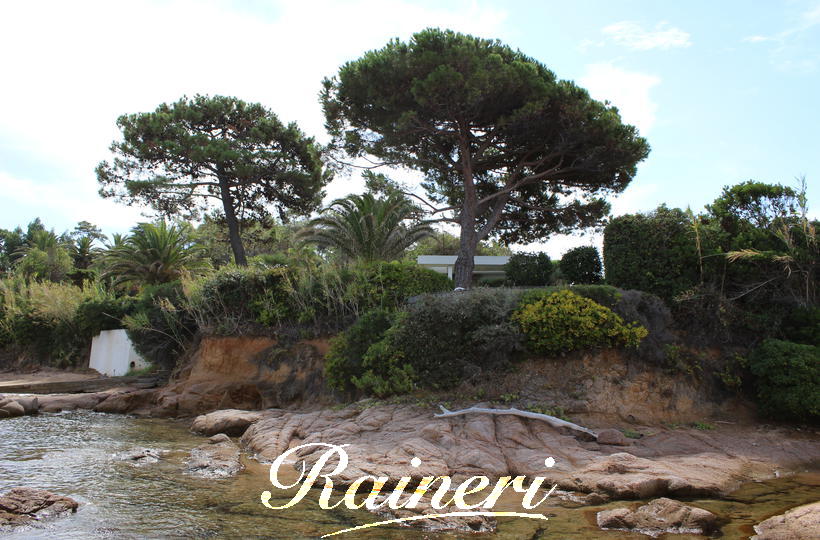 Agence Raineri - 