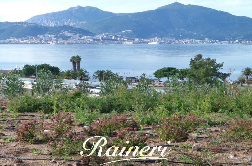Agence Raineri - 