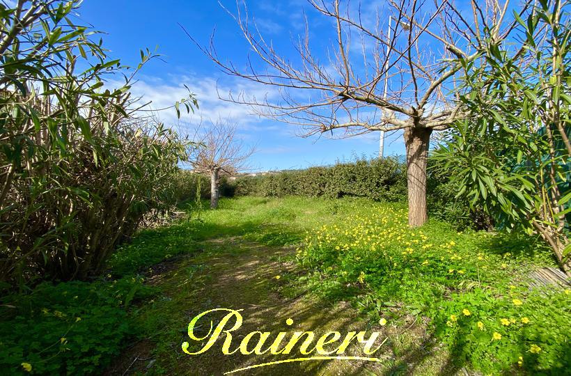 Agence Raineri - 