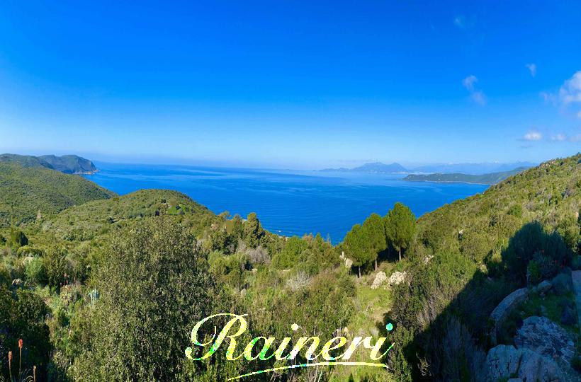 Agence Raineri - 