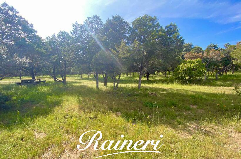 Agence Raineri -