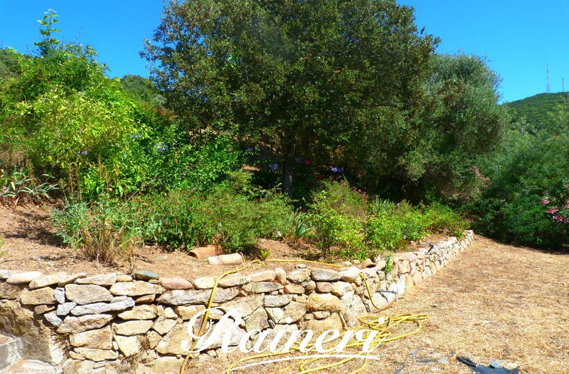 Agence Raineri -