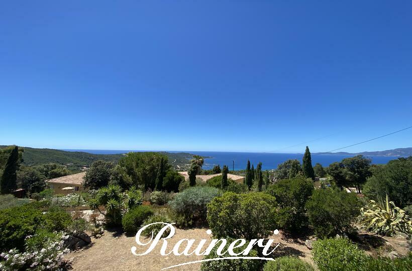 Agence Raineri - 