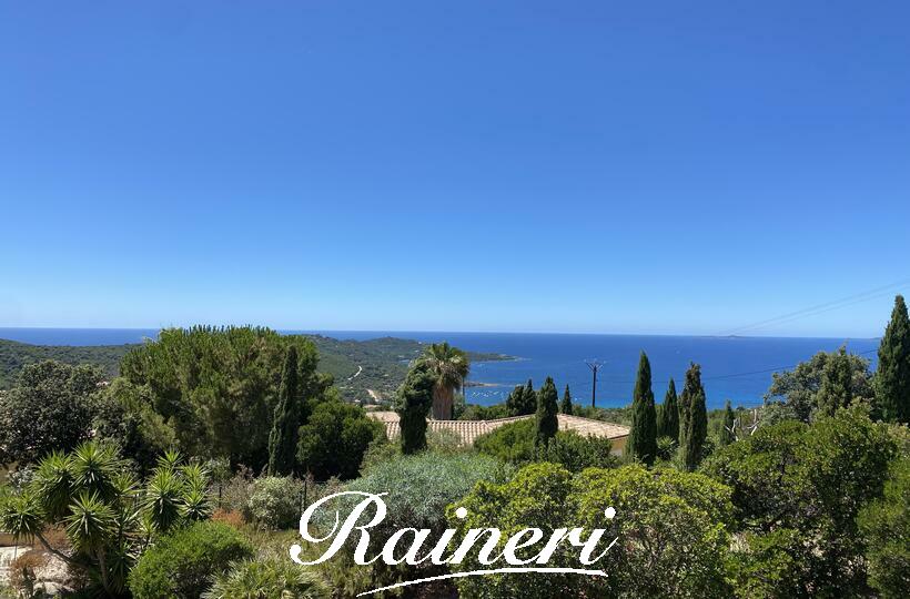 Agence Raineri - PORTIGLIOLO / Exclusivité