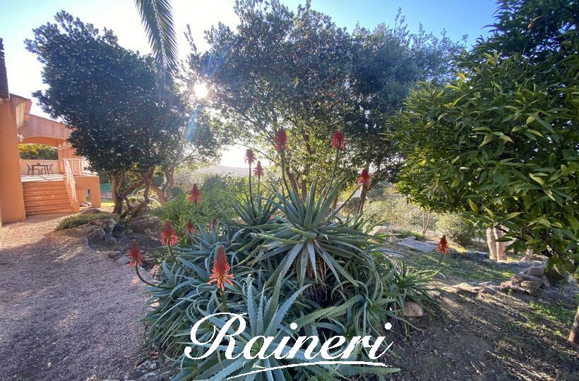 Agence Raineri - PORTIGLIOLO / Exclusivité