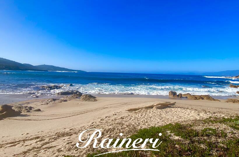 Agence Raineri - PORTIGLIOLO / Exclusivité