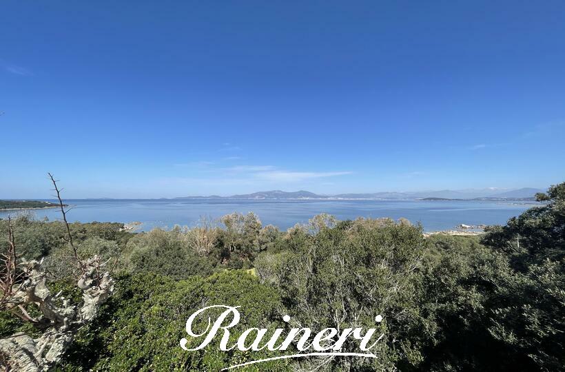Agence Raineri - RIVE SUD / Exclusivité
