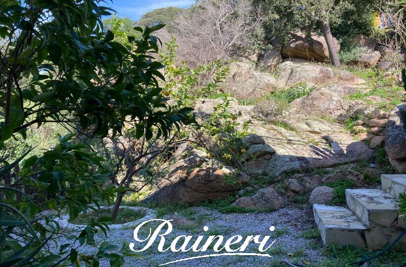 Agence Raineri - PIETROSELLA 8 Personnes