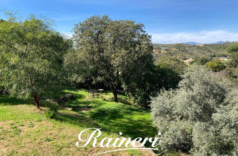 Agence Raineri - PIETROSELLA 8 Personnes
