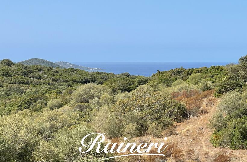 Agence Raineri -