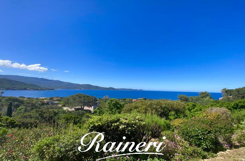 Agence Raineri - PIETROSELLA / Co-Exclusivité