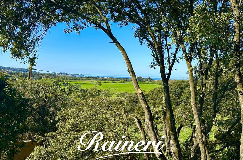 Agence Raineri - PORTICCIO