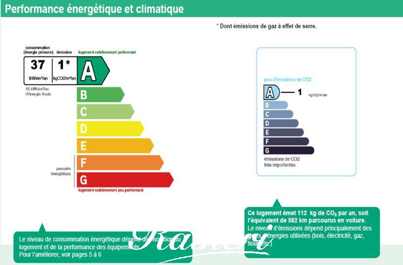 Agence Raineri - T4 - PIETROSELLA