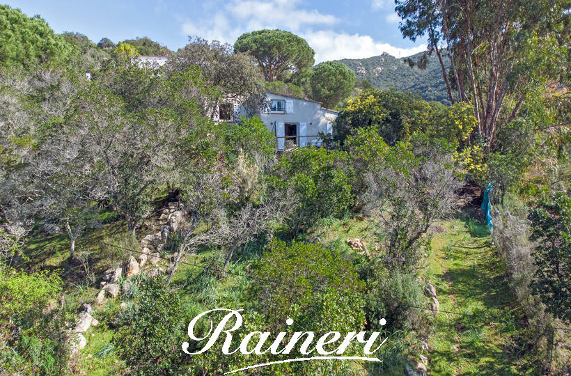 Agence Raineri - PIETROSELLA / Co-Exclusivité