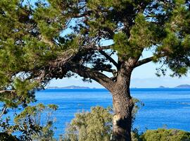 Agence Raineri - VERGHIA - MARE E SOLE - Exclusivité