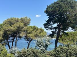 Agence Raineri - T2 - PORTICCIO / Exclusivit